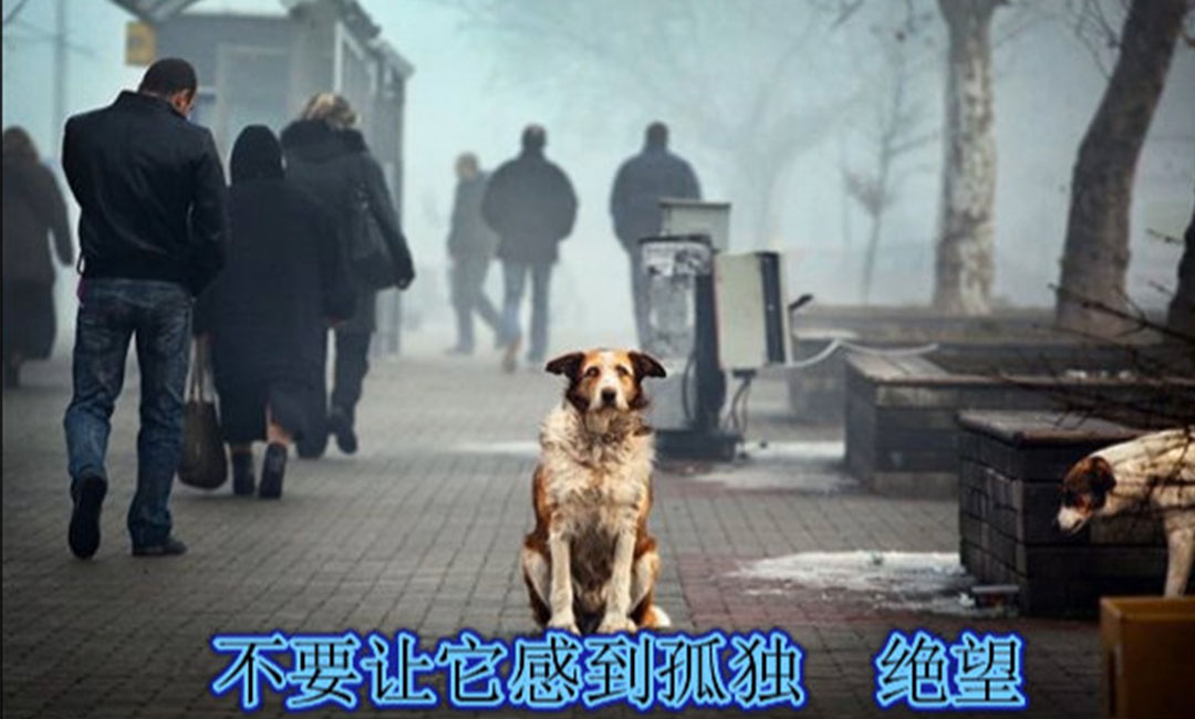宜昌宜昌爱影圈微博微信转发案例